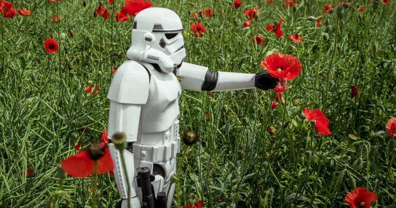 [Кейс] Комплексная интернет-реклама для магазина бытовой техники по ...