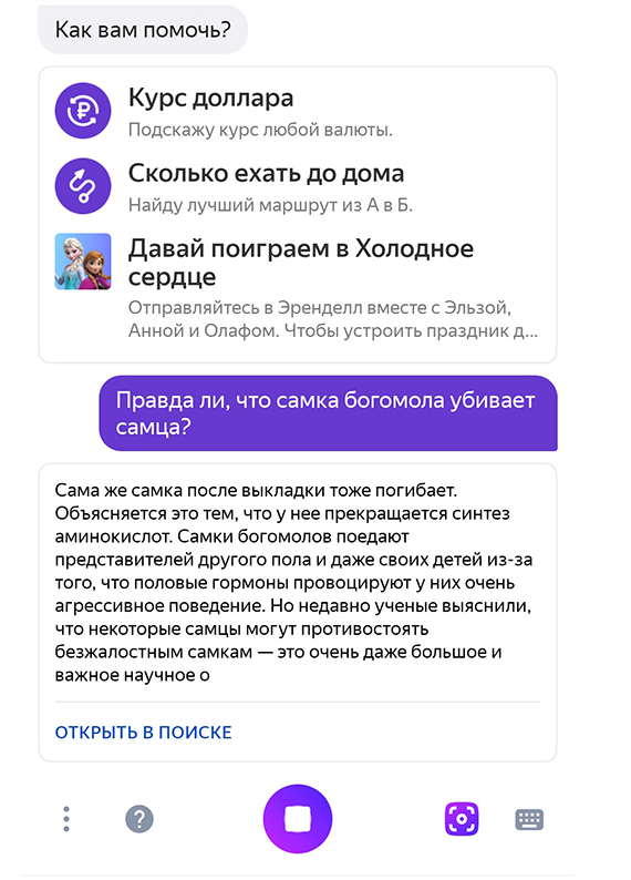 SEO | голосовой поиск, локальный поиск, продвижение сайта, раскрутка сайта | от